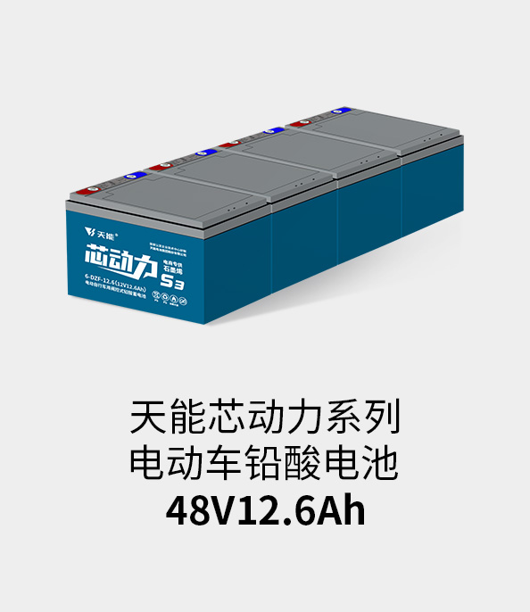 梦之城电池48v12ah