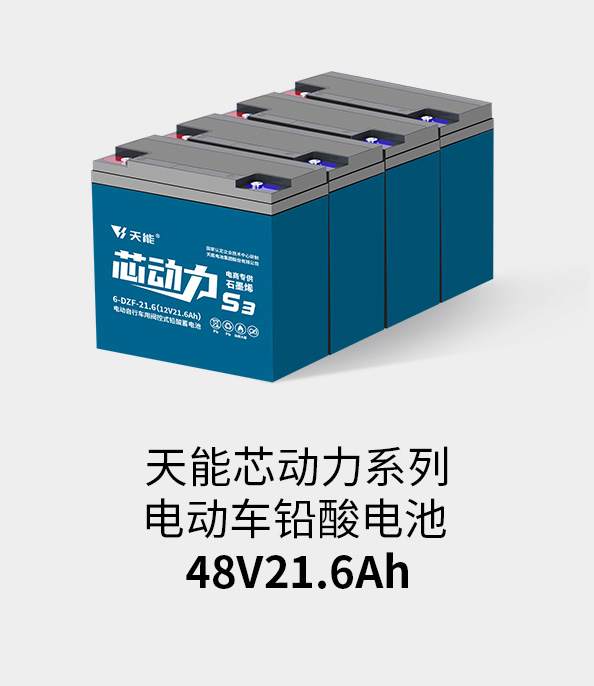 梦之城电池48v20ah