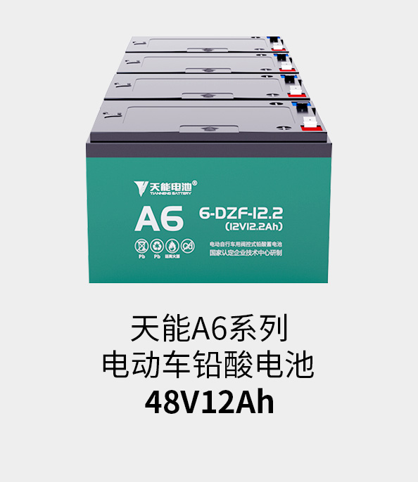 梦之城电池48v12ah