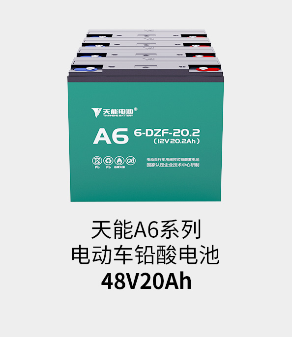 梦之城电池48v20ah