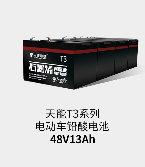 梦之城T3系列48v13ah