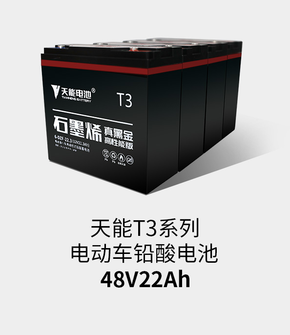 梦之城T3系列48v22ah