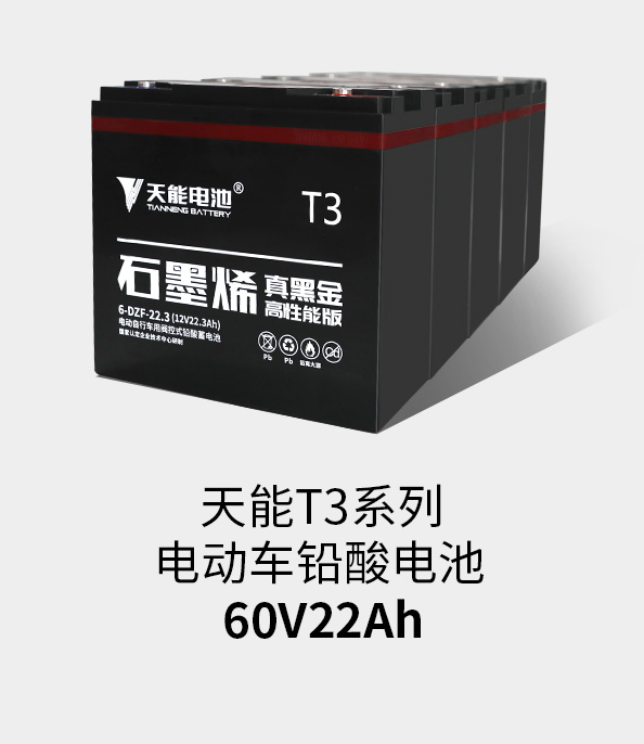 梦之城T3系列60v22ah