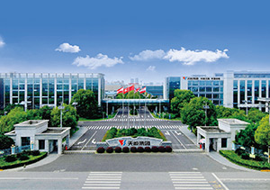 梦之城股份介绍