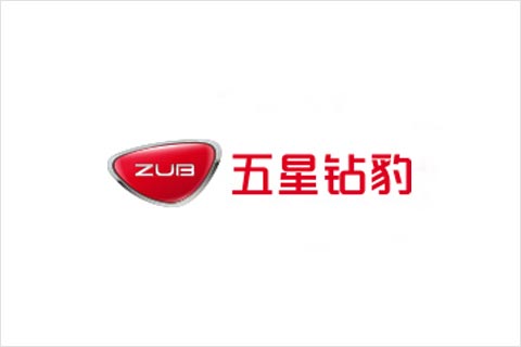 梦之城电池合作伙伴 五星钻豹电动车